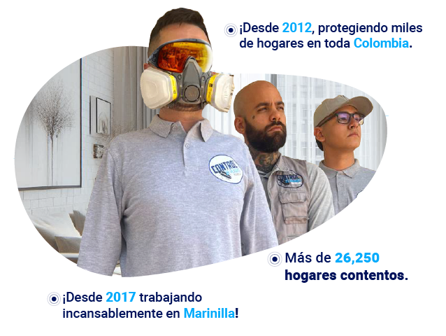 Control de insectos en  san vicente ferrer